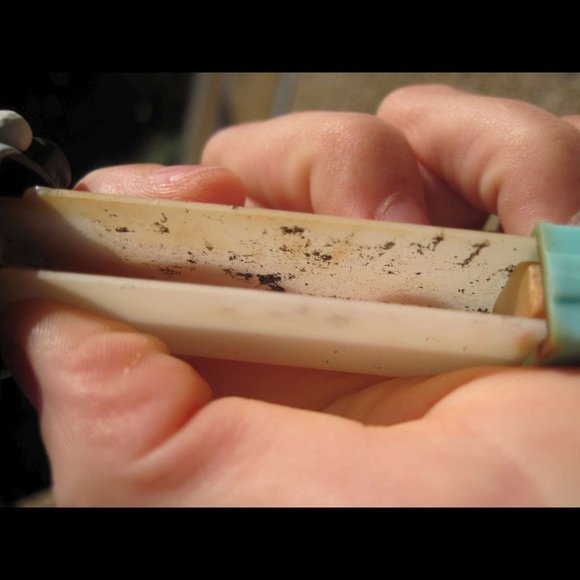 Penguin PEZ Candy Dispenser Light Blue Toboggin Hat Preowned Dirty Collectible - Picture 4 of 10